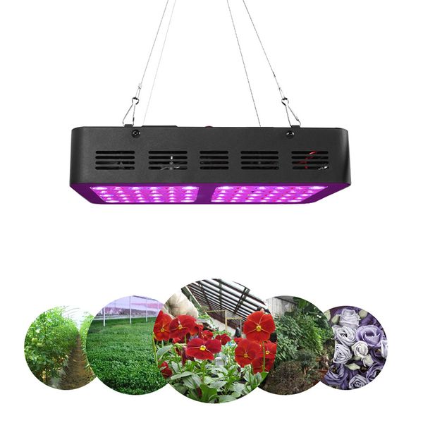 висячие линии 600w мощный светодиодный световой индикатор роста растений красный синий широко используется в теплицах, на заводе, в теплицах
висячие линии 600w мощный светодиодный световой индикатор роста растений красный синий широко используется в теплицах, на заводе, в теплицах