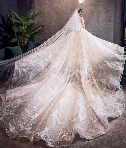 bling sequins wedding dresses 2019 ball gown sweetheart champagne/white bride dress princess wedding gowns robe de mariee
bling sequins wedding dresses 2019 ball gown sweetheart champagne/white bride dress princess wedding gowns robe de mariee