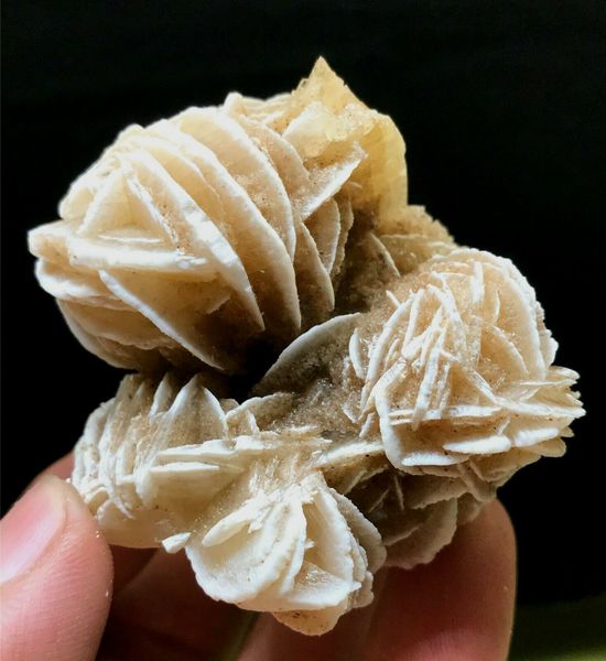 70g natural rare selenite desert rose crystal cluster healing display specimen, Black
70g natural rare selenite desert rose crystal cluster healing display specimen, Black