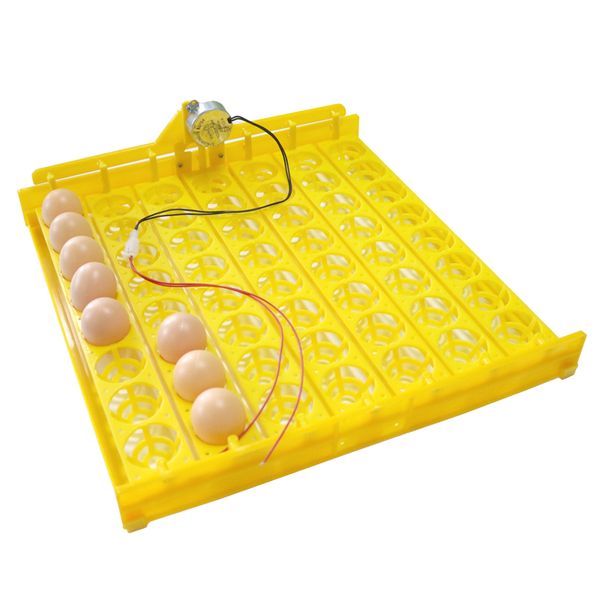 new incubator 56 eggs 110v / 220v automatic egg incubator chicken duck poultry incubation equipment 2016 ing
new incubator 56 eggs 110v / 220v automatic egg incubator chicken duck poultry incubation equipment 2016 ing