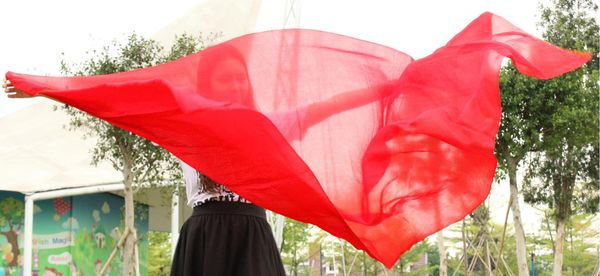 100% real silk belly dance veil, dance veils,tari perut kostum veil wholesale factory price, 250 or 270*114 cm solid color, Black;red
100% real silk belly dance veil, dance veils,tari perut kostum veil wholesale factory price, 250 or 270*114 cm solid color, Black;red