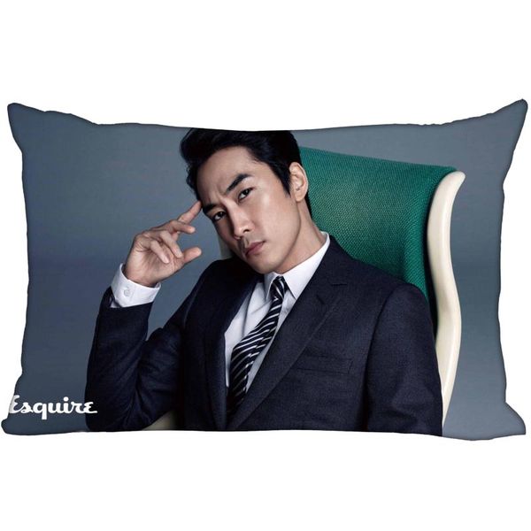 korea- custom song seung heon satin pillowcase 35x45cm (one side) printed zipper silk pillowcover custom logo gift pillow case
korea- custom song seung heon satin pillowcase 35x45cm (one side) printed zipper silk pillowcover custom logo gift pillow case