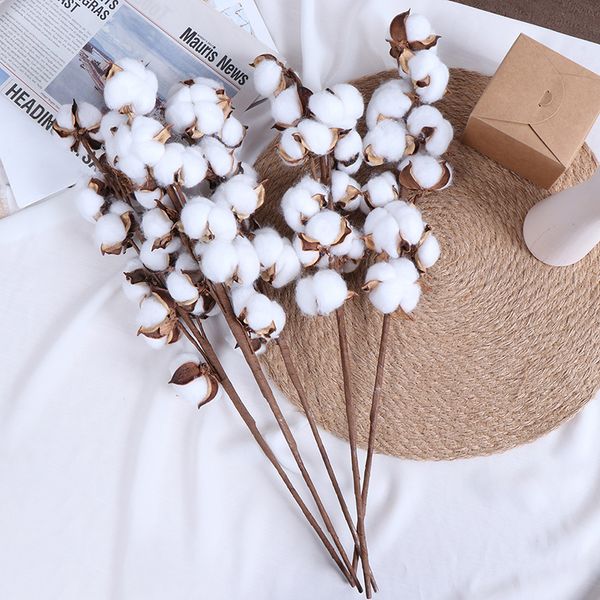 1pc naturally dried cotton flower fakeplants floral branch for wedding party decoration artificial flowers home decorflower
1pc naturally dried cotton flower fakeplants floral branch for wedding party decoration artificial flowers home decorflower