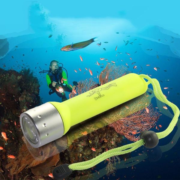 flashlights torches led waterproof scuba diver diving 2000lm q5 underwater flash light torch emergency mini
flashlights torches led waterproof scuba diver diving 2000lm q5 underwater flash light torch emergency mini