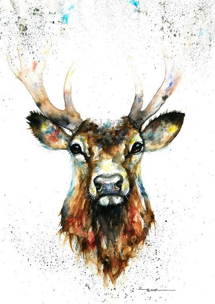 stag by artist be coventry wildlife animal art handpainted /hd print wall decor art oil painting multi sizes a100
stag by artist be coventry wildlife animal art handpainted /hd print wall decor art oil painting multi sizes a100