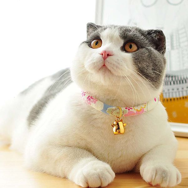 fashion 16 colors dog linen collars cute kitten bells pet necklace adjustable soft collar for dogs lovely floral puppy leads 10e
fashion 16 colors dog linen collars cute kitten bells pet necklace adjustable soft collar for dogs lovely floral puppy leads 10e