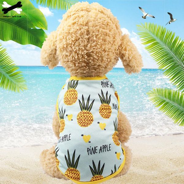 нова вена и лео енок едди teddy cat одежда pet одежда outfit supplies mesh Ѭемен еѬде
нова вена и лео енок едди teddy cat одежда pet одежда outfit supplies mesh Ѭемен еѬде