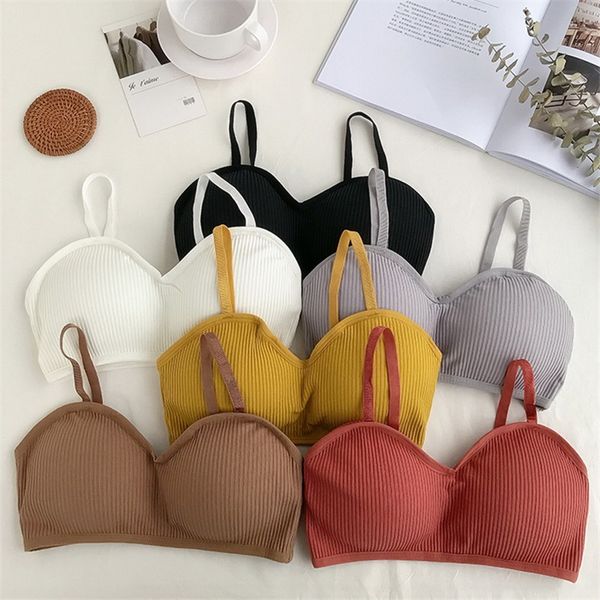 sport bra womens push up activewear women no underwire seamless bra yoga for fitness teens sports for women gym, White;black
sport bra womens push up activewear women no underwire seamless bra yoga for fitness teens sports for women gym, White;black