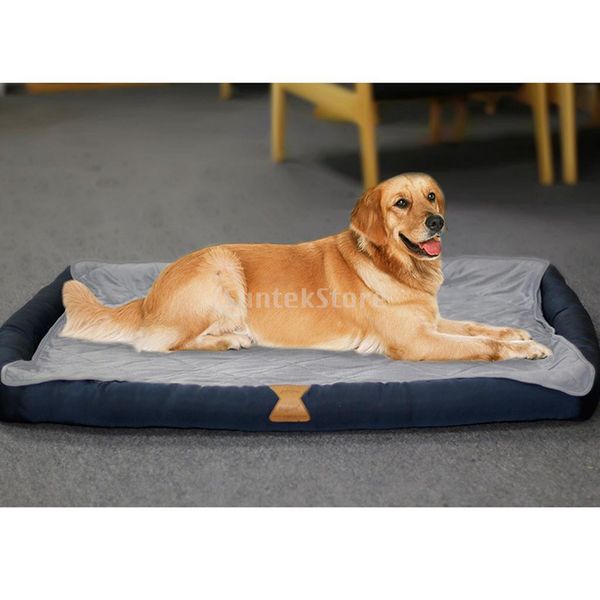 10 упак легкий пу мягкие мячи для гольфа крытый драйвинг рейндж практике
10 упак легкий пу мягкие мячи для гольфа крытый драйвинг рейндж практике