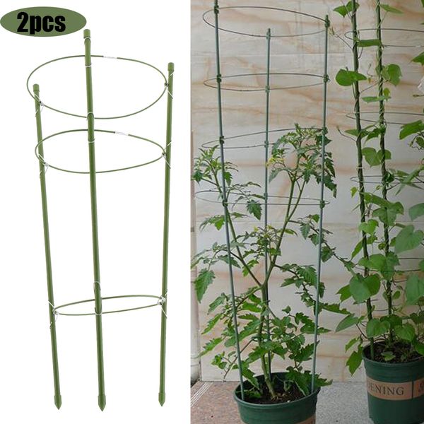 2pcs 60cm plant climbing support cage flowers rack stand frame with 3 rings
2pcs 60cm plant climbing support cage flowers rack stand frame with 3 rings