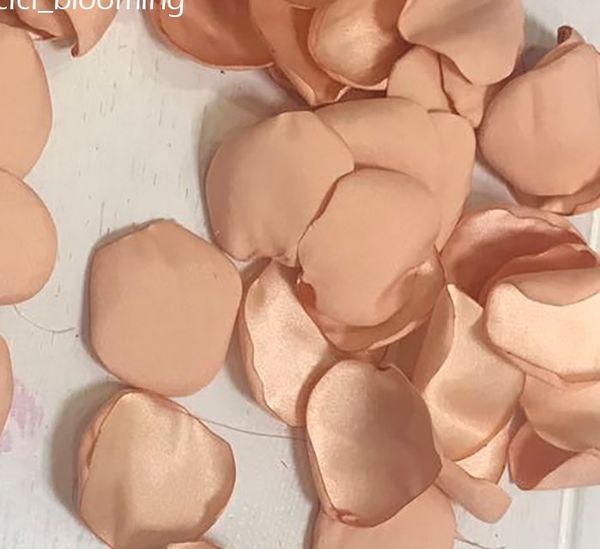 romantic dark peach satin petals for weddings soft flower girl rose petal 100 pieces /lot
romantic dark peach satin petals for weddings soft flower girl rose petal 100 pieces /lot