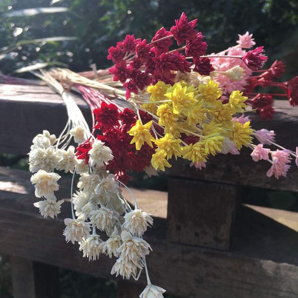 30pcs dried flowers 7mm head,nature little star flower for diy wedding home room cabinet floral decor, valentine's day gift
30pcs dried flowers 7mm head,nature little star flower for diy wedding home room cabinet floral decor, valentine's day gift