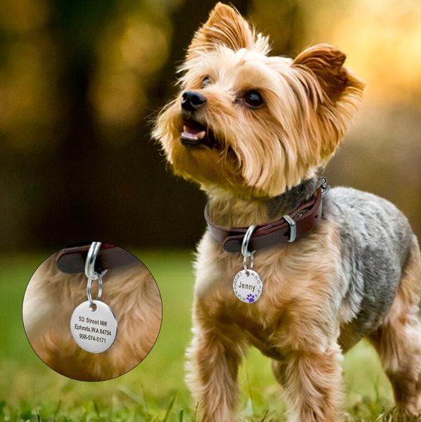 пользовательский dog tag гравированных pet ошейники аксессуары персонализированного cat puppy id tag из нержавеющей стали paw имени теги под
пользовательский dog tag гравированных pet ошейники аксессуары персонализированного cat puppy id tag из нержавеющей стали paw имени теги под
