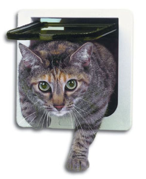 cat flap door kitten dog pet lock heavy duty suitable for any wall or door hipping
cat flap door kitten dog pet lock heavy duty suitable for any wall or door hipping