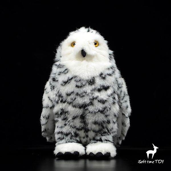 siberian owl doll plush toy cute white owl dolls stuffed animal model decoration toys high quality
siberian owl doll plush toy cute white owl dolls stuffed animal model decoration toys high quality