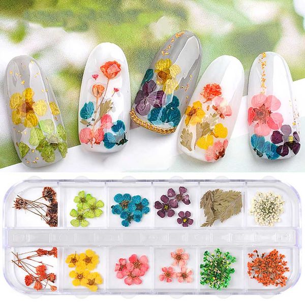 12 color dried flower charm manicure ornament gypsophila sun flower small daisy nail art decorations nails accessoires, Silver;gold
12 color dried flower charm manicure ornament gypsophila sun flower small daisy nail art decorations nails accessoires, Silver;gold