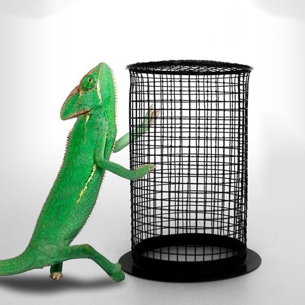 reptile heater guard anti-scald heating lamp lampshade enclosure cage protector metal mesh lamp cover for snake lizard turtle
reptile heater guard anti-scald heating lamp lampshade enclosure cage protector metal mesh lamp cover for snake lizard turtle