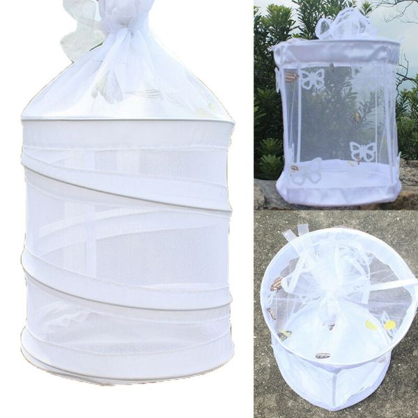 1pc habitat butterfly cage insect breeding net garden insect feeding observation box
1pc habitat butterfly cage insect breeding net garden insect feeding observation box