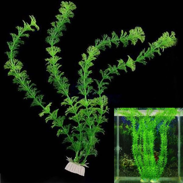simulation aquatic plant water vanilla grass aquariums fish tank decorations landscaping artificial grass pet supplies plastic 30cm an2885
simulation aquatic plant water vanilla grass aquariums fish tank decorations landscaping artificial grass pet supplies plastic 30cm an2885