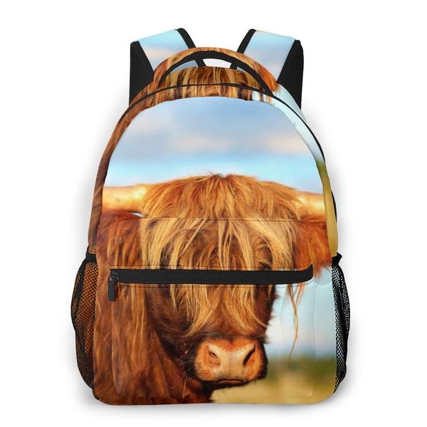 women backpack school bag for teenage girls scottish highland cow in field female lapnotebook bagpack travel back pack 2020
women backpack school bag for teenage girls scottish highland cow in field female lapnotebook bagpack travel back pack 2020