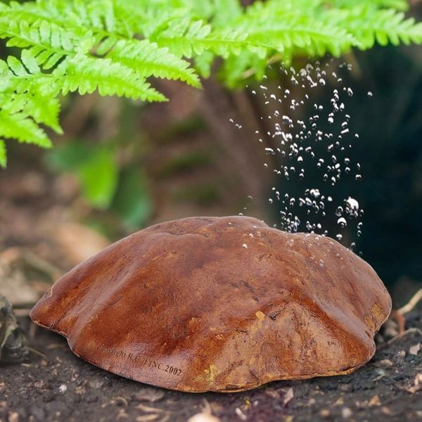 смола simulation аквариум террариум fish tank reptile cave скрытие пейзаж украшение украшение reptile habitat декор рептилия поставки
смола simulation аквариум террариум fish tank reptile cave скрытие пейзаж украшение украшение reptile habitat декор рептилия поставки
