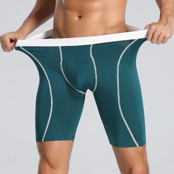 2pcs mens underwear boxers comfortable long leg plus size underpants tight-fitting ice silk quick-drying panties mesh, Black;white
2pcs mens underwear boxers comfortable long leg plus size underpants tight-fitting ice silk quick-drying panties mesh, Black;white