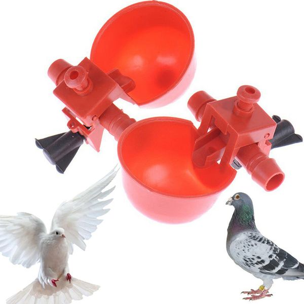 red waterer animal feeders automatic bird coop feed poultry chicken fowl drinker water drinking cups with fixed screw buckle
red waterer animal feeders automatic bird coop feed poultry chicken fowl drinker water drinking cups with fixed screw buckle