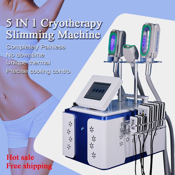 professional 360 cryo fat e cool body slimming machines rf 40k body cavitation with 3 cryo handles for body arm & double chin
professional 360 cryo fat e cool body slimming machines rf 40k body cavitation with 3 cryo handles for body arm & double chin