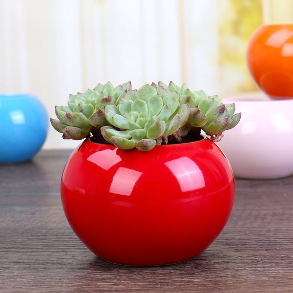 керамические горшки небольшого завод мини сочной сеялка желтый милого бонсай круглых домов и сада стол декоративных
керамические горшки небольшого завод мини сочной сеялка желтый милого бонсай круглых домов и сада стол декоративных