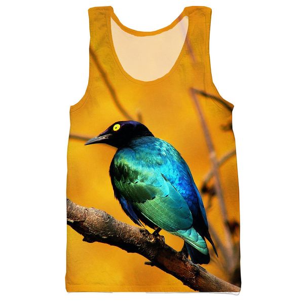 bird 3d printed tank for men fashion summer tank work out men women halter, White;black
bird 3d printed tank for men fashion summer tank work out men women halter, White;black