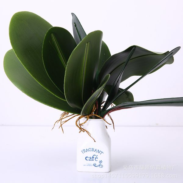 simulation flower green butterfly orchid flower wall quality plastic flowers lierre artificiel bitki cactus plant fake succulent
simulation flower green butterfly orchid flower wall quality plastic flowers lierre artificiel bitki cactus plant fake succulent