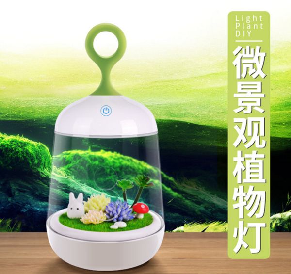 botany lamp music lamp manual diy pot culture small night light touch control induction seven coloured lights charge small night-light
botany lamp music lamp manual diy pot culture small night light touch control induction seven coloured lights charge small night-light