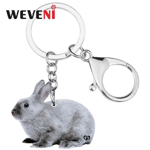weveni акриловый серый пасхальный заяц брелки животных брелок ювелирные изделия для женщин девушки дети классический мешок бумажник аксессуа, Silver
weveni акриловый серый пасхальный заяц брелки животных брелок ювелирные изделия для женщин девушки дети классический мешок бумажник аксессуа, Silver