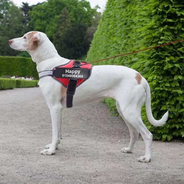 dog harness no pull reflective breathable adjustable pet harness for dog vest id custom patch outdoor walking dog supplies
dog harness no pull reflective breathable adjustable pet harness for dog vest id custom patch outdoor walking dog supplies