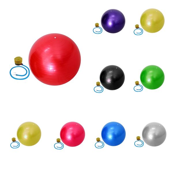 55cm thickened pvc workout stability swiss ball & pump anti burst exercise equipment for yoga fitness gym core strength
55cm thickened pvc workout stability swiss ball & pump anti burst exercise equipment for yoga fitness gym core strength