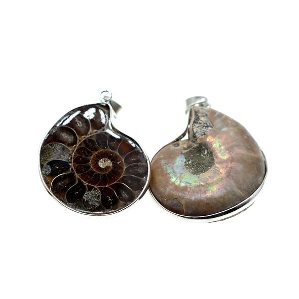 natural stone snail fossils conch pendant chandeliers semi-precious stone handwork covered snail necklace pendant, Silver
natural stone snail fossils conch pendant chandeliers semi-precious stone handwork covered snail necklace pendant, Silver