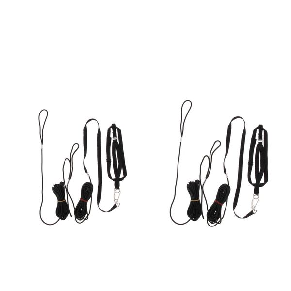 2pcs outdoor parrot leash adjustable bird harness for small to large birds 
2pcs outdoor parrot leash adjustable bird harness for small to large birds