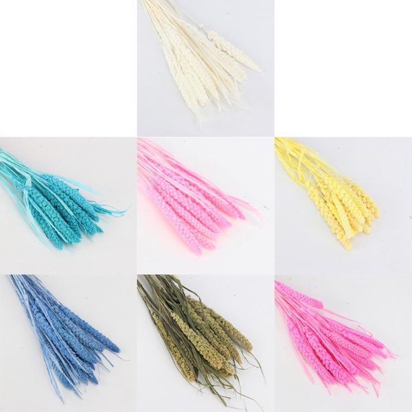 10 pcs natural dried fresh flower bundle preserved millet flower diy wedding party home bedroom decoration ornament 
10 pcs natural dried fresh flower bundle preserved millet flower diy wedding party home bedroom decoration ornament