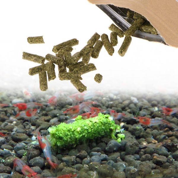 35g crystal red shrimp food natural spinach mixed ingredient aquarium fish tank fish shrimp feeding other aquarium fish
35g crystal red shrimp food natural spinach mixed ingredient aquarium fish tank fish shrimp feeding other aquarium fish