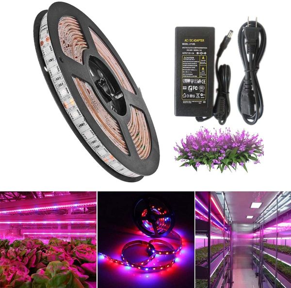 plant grow light, 5050 smd led plants strip lights indoor growing lamp, blue+red 16.4ft flexible soft rope lighting with 12v adapter for gre
plant grow light, 5050 smd led plants strip lights indoor growing lamp, blue+red 16.4ft flexible soft rope lighting with 12v adapter for gre