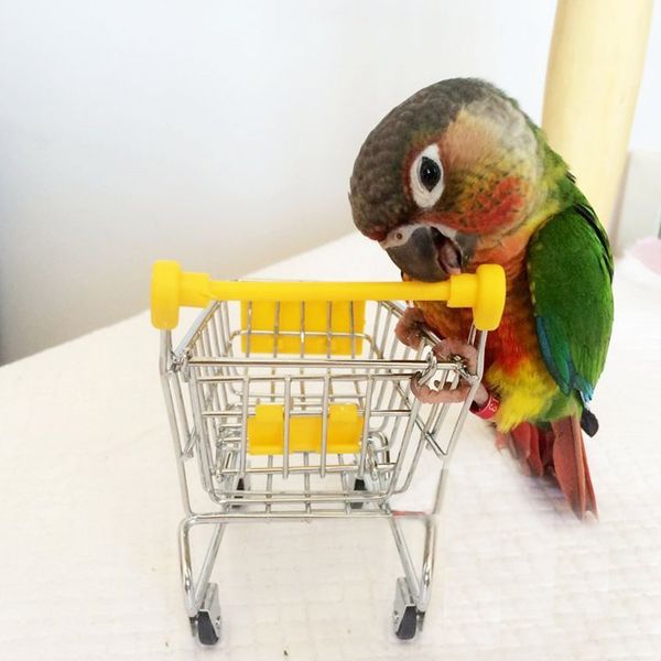small pets toys parrot small garden cart bird training supermarket hamster guinea pig totoro articles pgraph prop
small pets toys parrot small garden cart bird training supermarket hamster guinea pig totoro articles pgraph prop