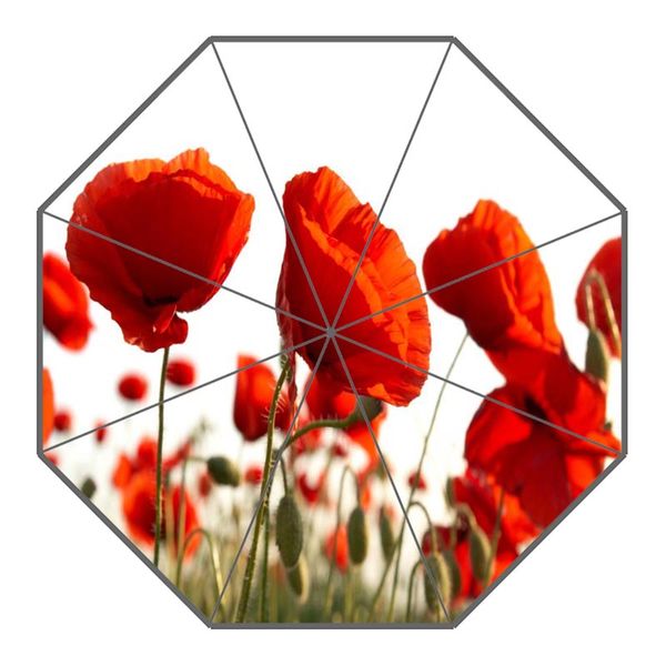 custom poppy flower umbrellas polyester fabric sunny and rainy umbrella non-automatic umbrella for adults
custom poppy flower umbrellas polyester fabric sunny and rainy umbrella non-automatic umbrella for adults