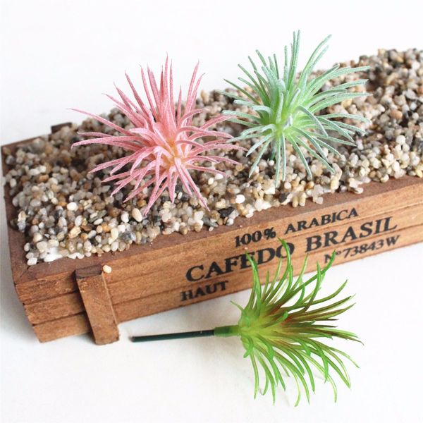 succulents artificial plants desert landscape diy plant landscape artificial succulents plants garden decoration flower
succulents artificial plants desert landscape diy plant landscape artificial succulents plants garden decoration flower