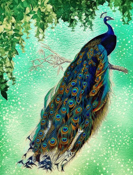 k020 animal peacock 5d diy full diamond painting home decoration wall painting of diamond mosaic embroidery painting
k020 animal peacock 5d diy full diamond painting home decoration wall painting of diamond mosaic embroidery painting