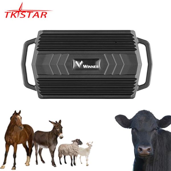 gps tracker animal for cow camel tk935 3000mah gps locator waterproof tracker car magnet voice monitor web app pk tk905
gps tracker animal for cow camel tk935 3000mah gps locator waterproof tracker car magnet voice monitor web app pk tk905