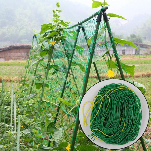 anti bird netting melon fruit morning glory vine net flower vine cucumber trellis netting plant net garden mesh protect
anti bird netting melon fruit morning glory vine net flower vine cucumber trellis netting plant net garden mesh protect