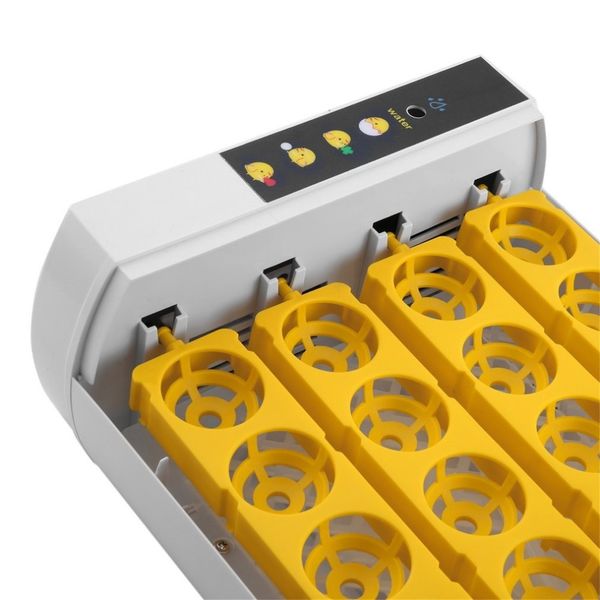 practical 24 eggs large capacity mini incubator for chicken poultry quail turkey eggs home use automatic egg turning drop ship
practical 24 eggs large capacity mini incubator for chicken poultry quail turkey eggs home use automatic egg turning drop ship