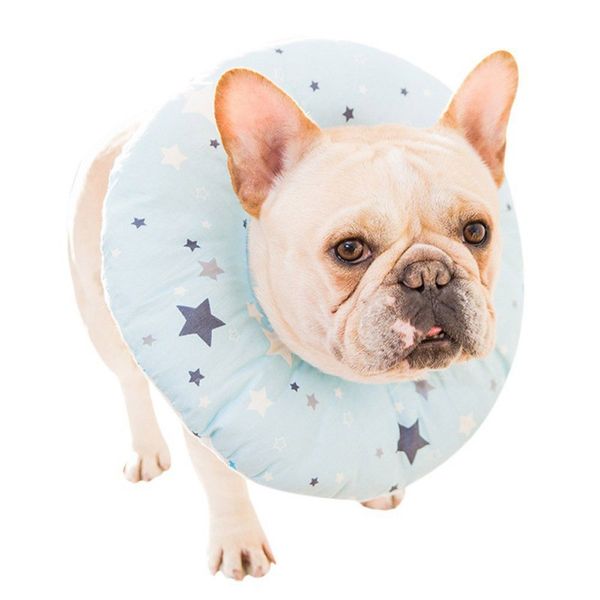 pet dog cat surgery recovery collars dog inflatable cotton collar for preventing licking wound pet dog supplies
pet dog cat surgery recovery collars dog inflatable cotton collar for preventing licking wound pet dog supplies