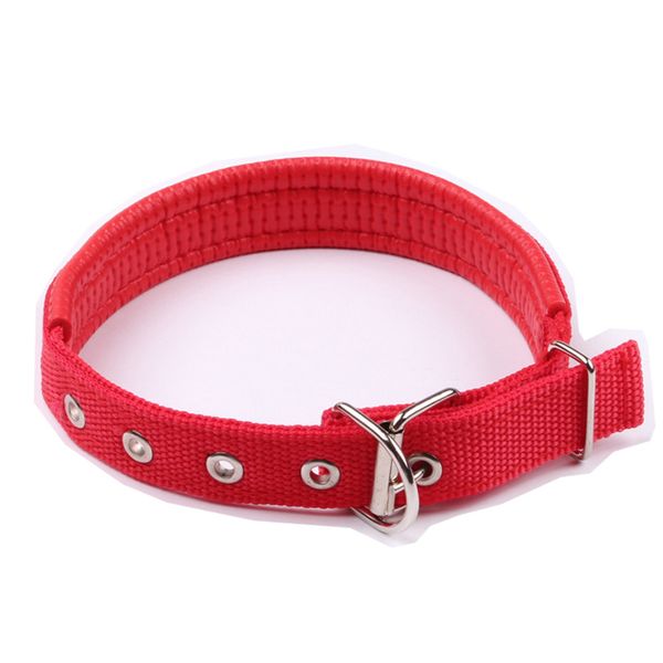 dog collars & leashes 4colors durable nylon collar mesh padded comfortable pet necklace small medium large dogs supplies size s m l xl xxl
dog collars & leashes 4colors durable nylon collar mesh padded comfortable pet necklace small medium large dogs supplies size s m l xl xxl
