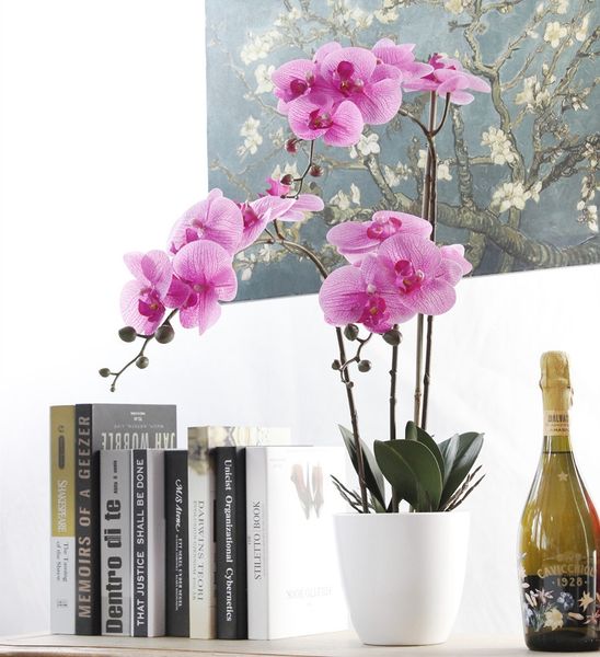 7 heads phalaenopsis orchid flower artificial flower wedding decoration floral christmas party home decor other festive party supplies
7 heads phalaenopsis orchid flower artificial flower wedding decoration floral christmas party home decor other festive party supplies